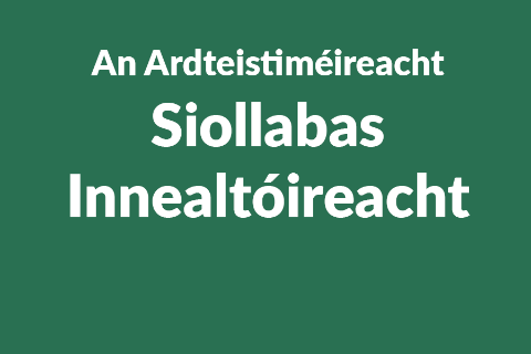 Leaving Certificate Engineering Syllabus button