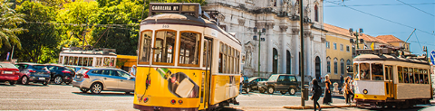 trams on road