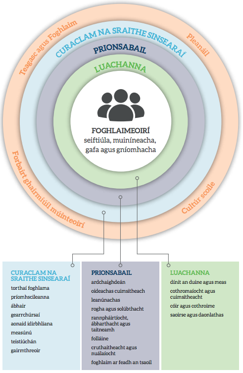 overview of senior cycle diagram