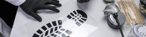 footprint on paper