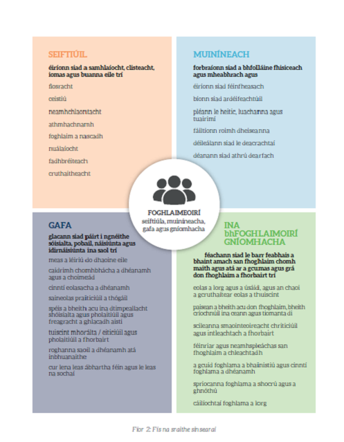 vision of senior cycle diagram