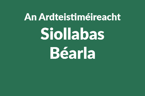Leaving Certificate English Syllabus button