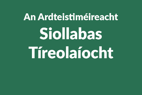 Leaving Certificate Geography Syllabus button