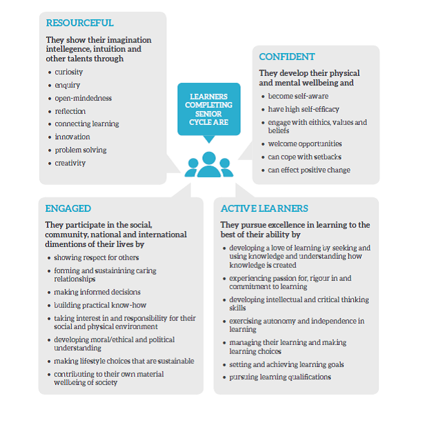 vision of senior cycle diagram