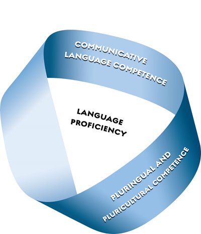 language curriculum icon